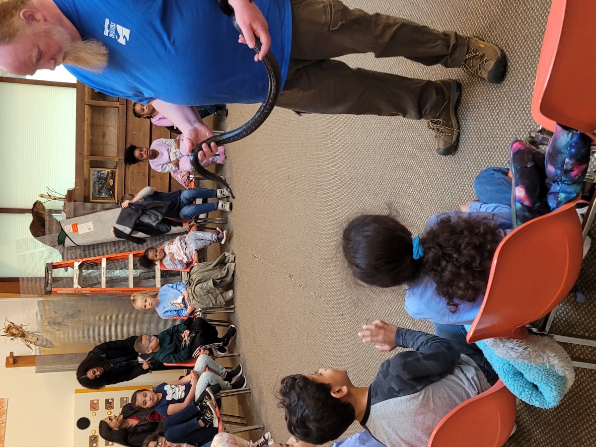 Temple Hill 1st Graders Visit Hudson Highlands Nature Museum News NECSD